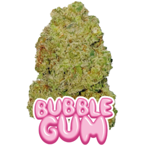 buuble gum cbd premium fleur de cbd indoor